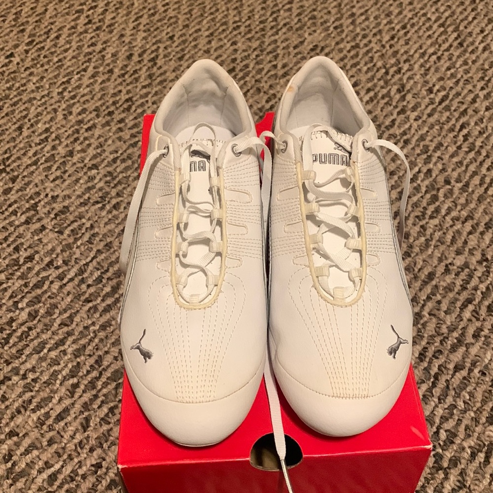 White pumas